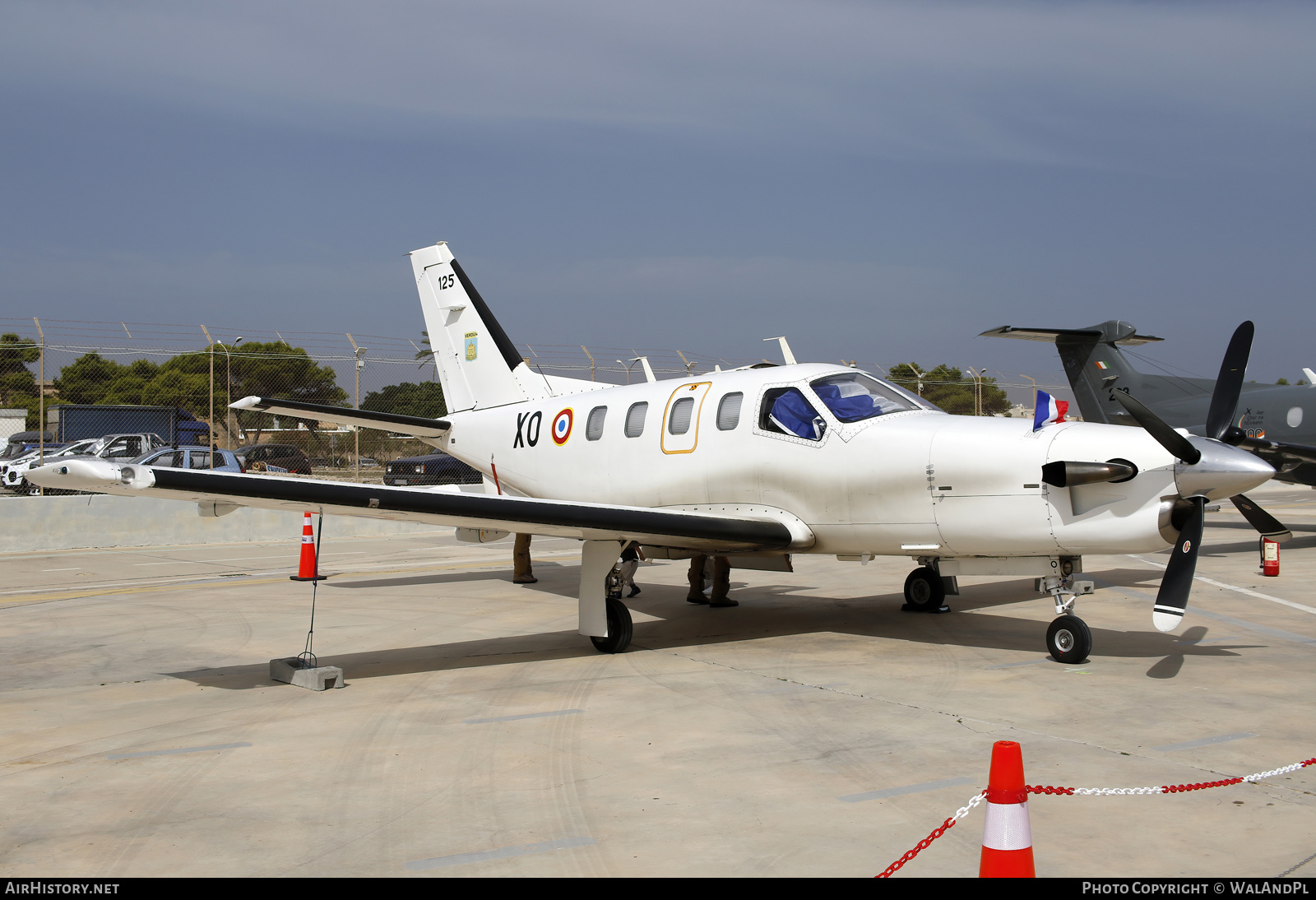 Aircraft Photo of 125 | Socata TBM-700 | France - Air Force | AirHistory.net #605003