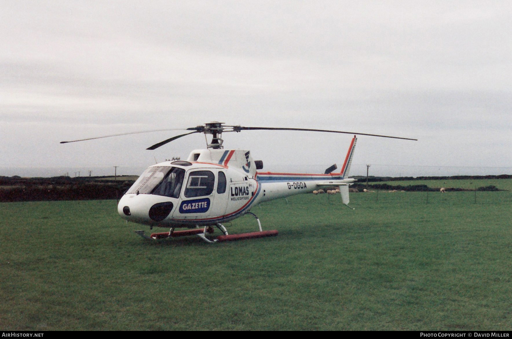 Aircraft Photo of G-OGOA | Aerospatiale AS-350B Ecureuil | Lomas Helicopters | AirHistory.net #605594