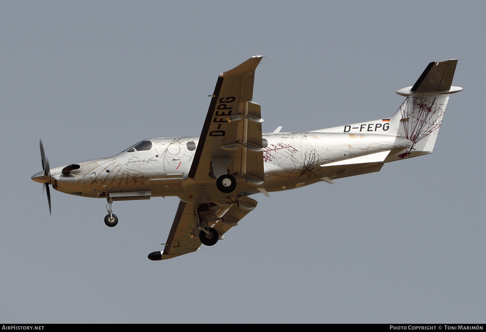 Aircraft Photo of D-FEPG | Pilatus PC-12NG (PC-12/47E) | AirHistory.net #605735