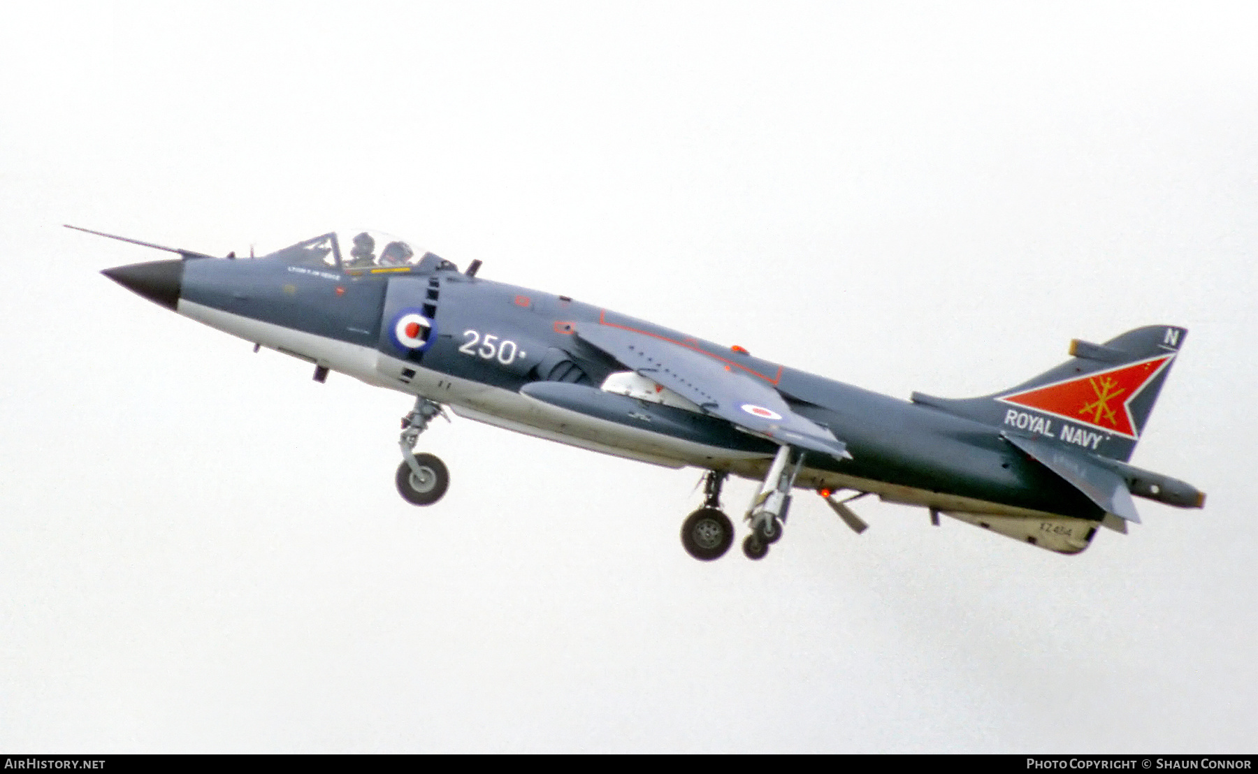 Aircraft Photo of XZ454 | British Aerospace Sea Harrier FRS1 | UK - Navy | AirHistory.net #605819