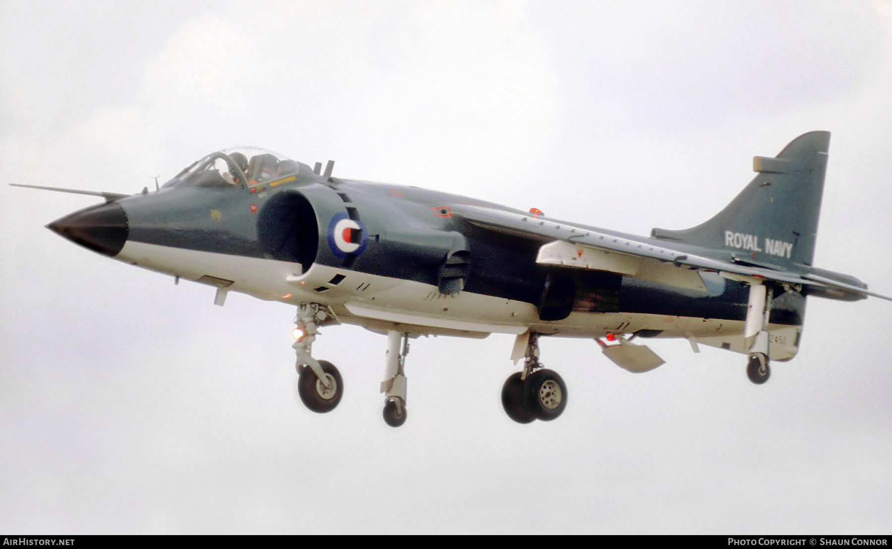 Aircraft Photo of XZ450 | British Aerospace Sea Harrier FRS1 | UK - Navy | AirHistory.net #605825