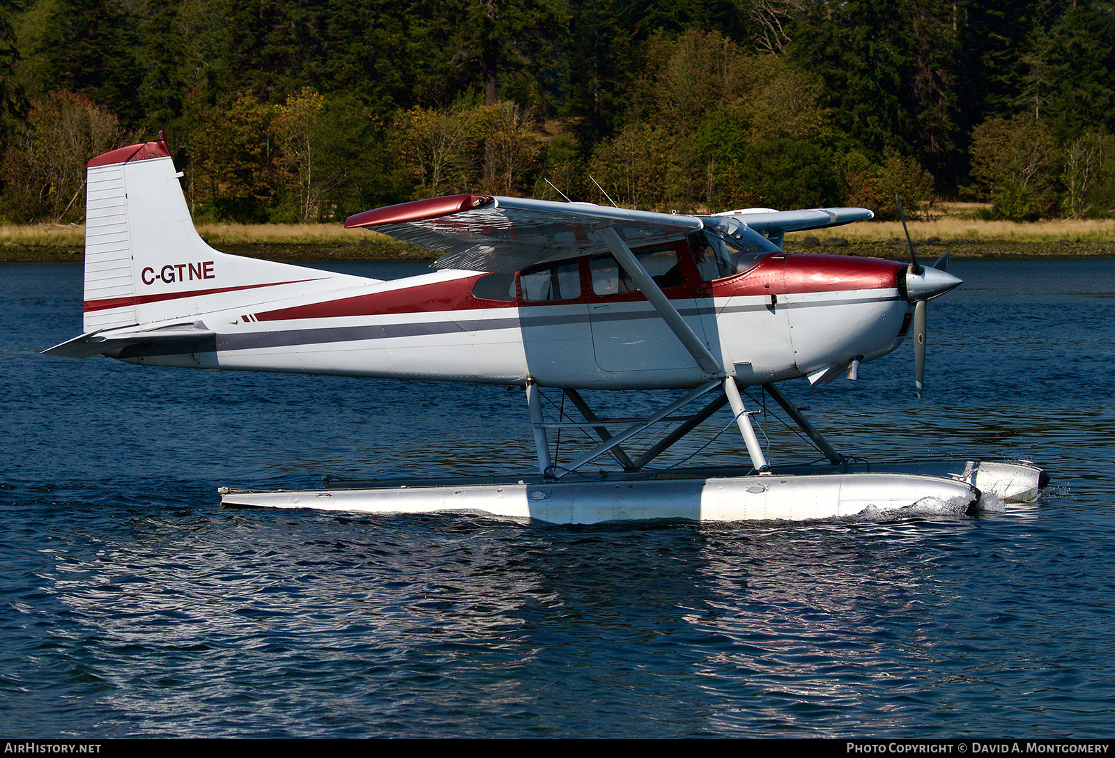 Aircraft Photo of C-GTNE | Cessna A185E Skywagon 185 | AirHistory.net #606493
