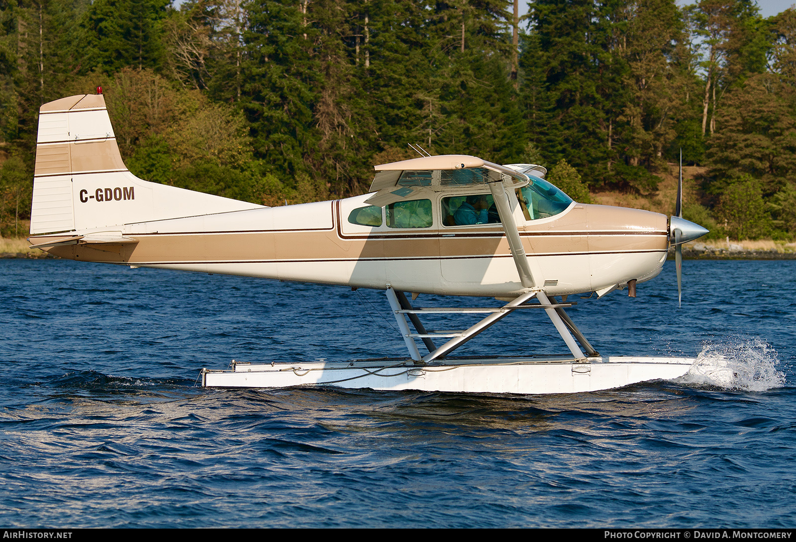 Aircraft Photo of C-GDOM | Cessna A185F Skywagon 185 | AirHistory.net #606634