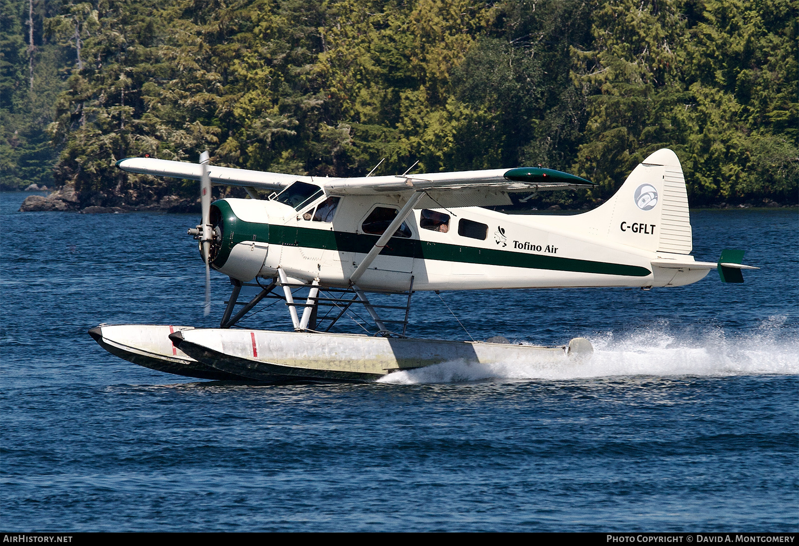 Aircraft Photo of C-GFLT | De Havilland Canada DHC-2 Beaver Mk.1 | Tofino Air | AirHistory.net #607010