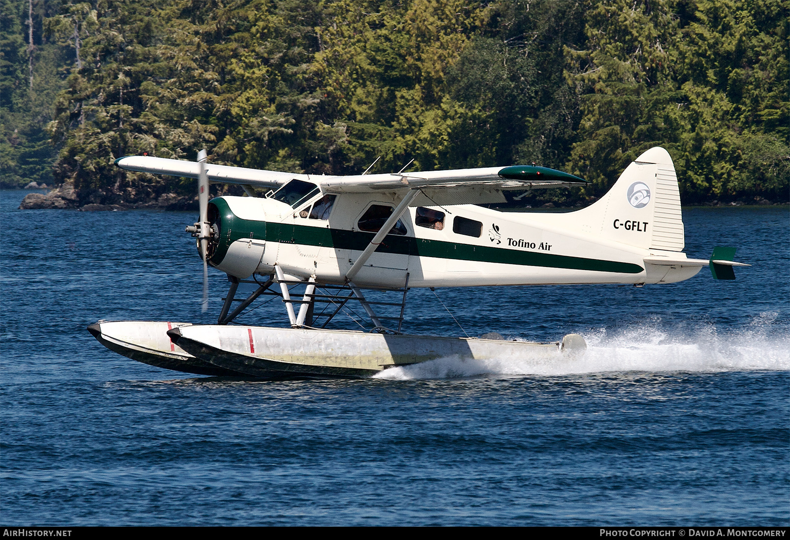 Aircraft Photo of C-GFLT | De Havilland Canada DHC-2 Beaver Mk1 | Tofino Air | AirHistory.net #607010