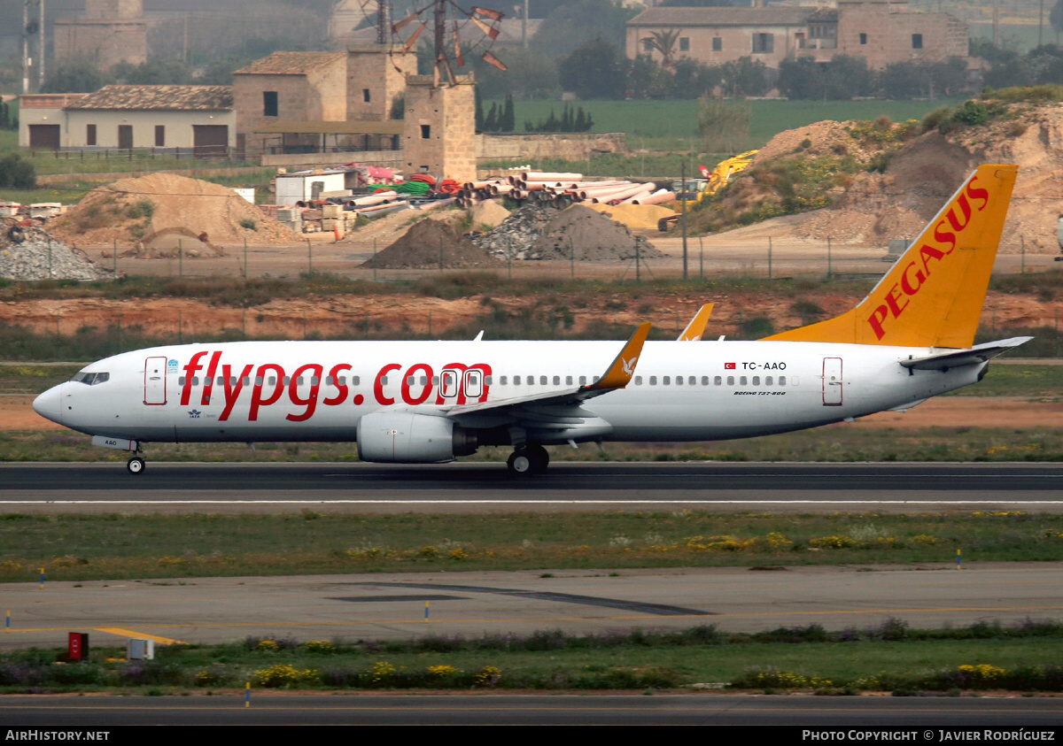 Aircraft Photo of TC-AAO | Boeing 737-86N | Pegasus Airlines | AirHistory.net #607098