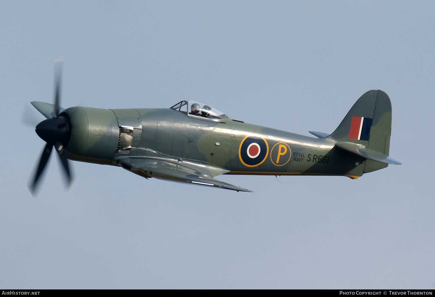 Aircraft Photo of G-CBEL / SR661 | Hawker Sea Fury FB11 | UK - Navy | AirHistory.net #607247