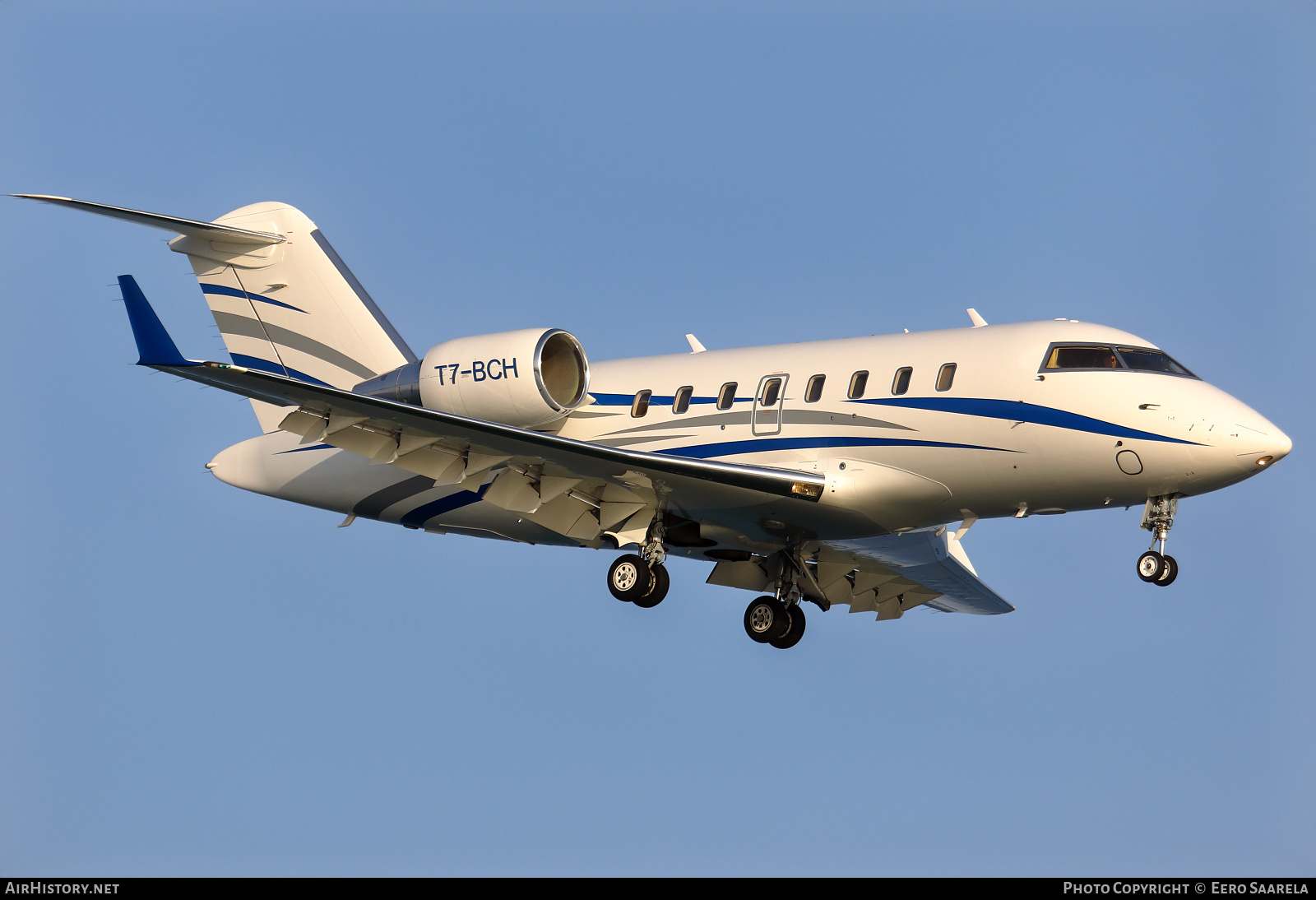 Aircraft Photo of T7-BCH | Bombardier Challenger 605 (CL-600-2B16) | AirHistory.net #607538