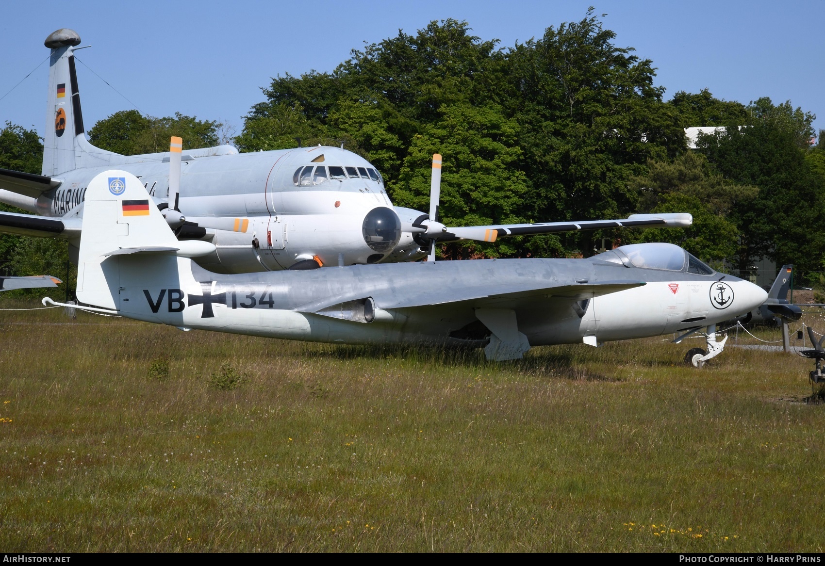 Aircraft Photo of VB-134 | Hawker Sea Hawk Mk 100 | Germany - Navy | AirHistory.net #607809