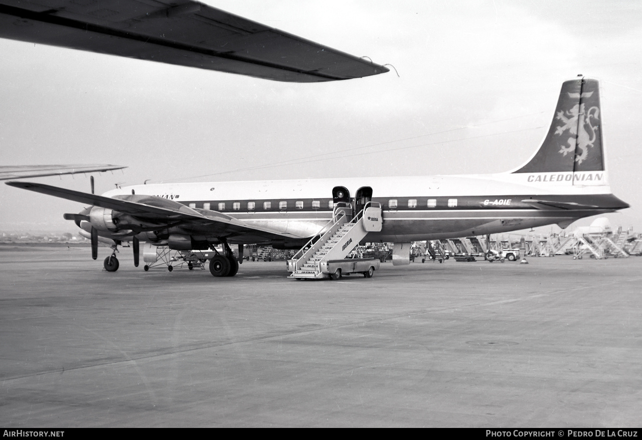 Aircraft Photo of G-AOIE | Douglas DC-7C | Caledonian Airways | AirHistory.net #608895