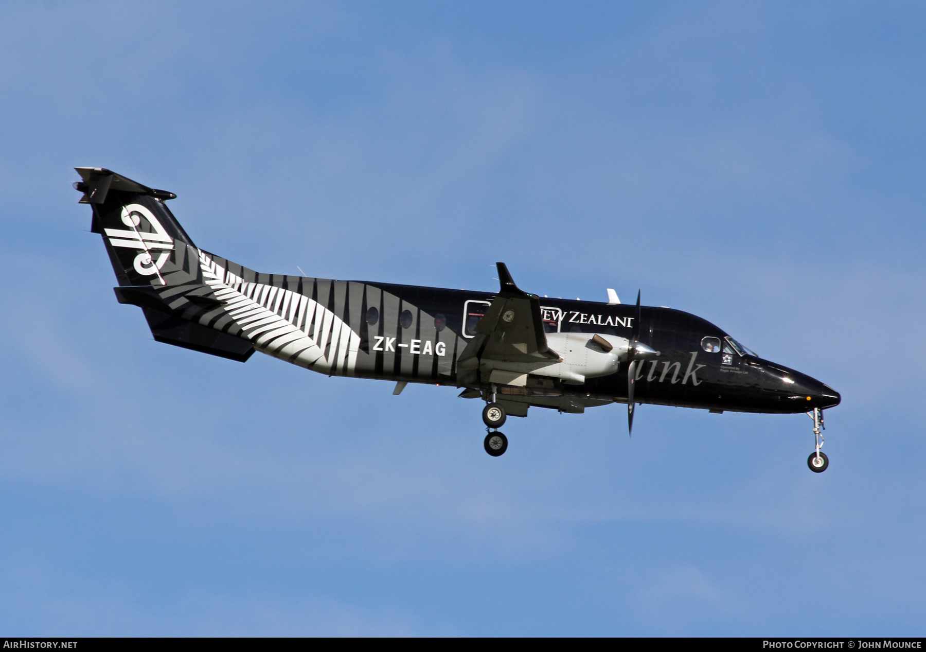 Aircraft Photo of ZK-EAG | Raytheon 1900D | Air New Zealand Link | AirHistory.net #612298