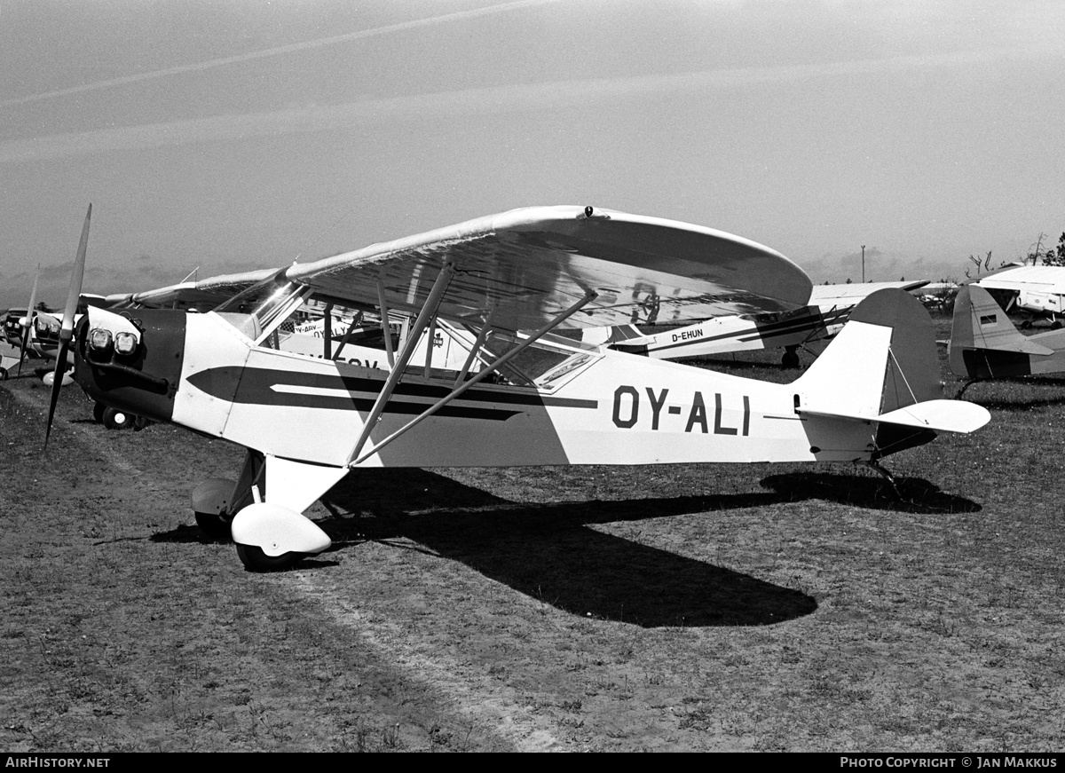 Aircraft Photo of OY-ALI | Piper J-3C-65 Cub | AirHistory.net #612878