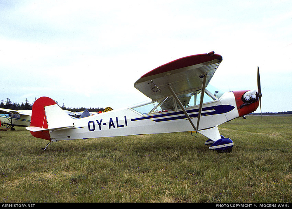 Aircraft Photo of OY-ALI | Piper J-3C-65 Cub | AirHistory.net #612899