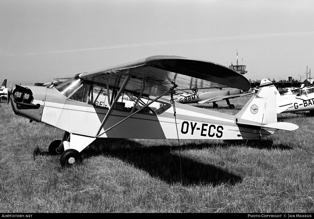 Aircraft Photo of OY-ECS | Piper L-4J Grasshopper (J-3C-65) | AirHistory.net #613231