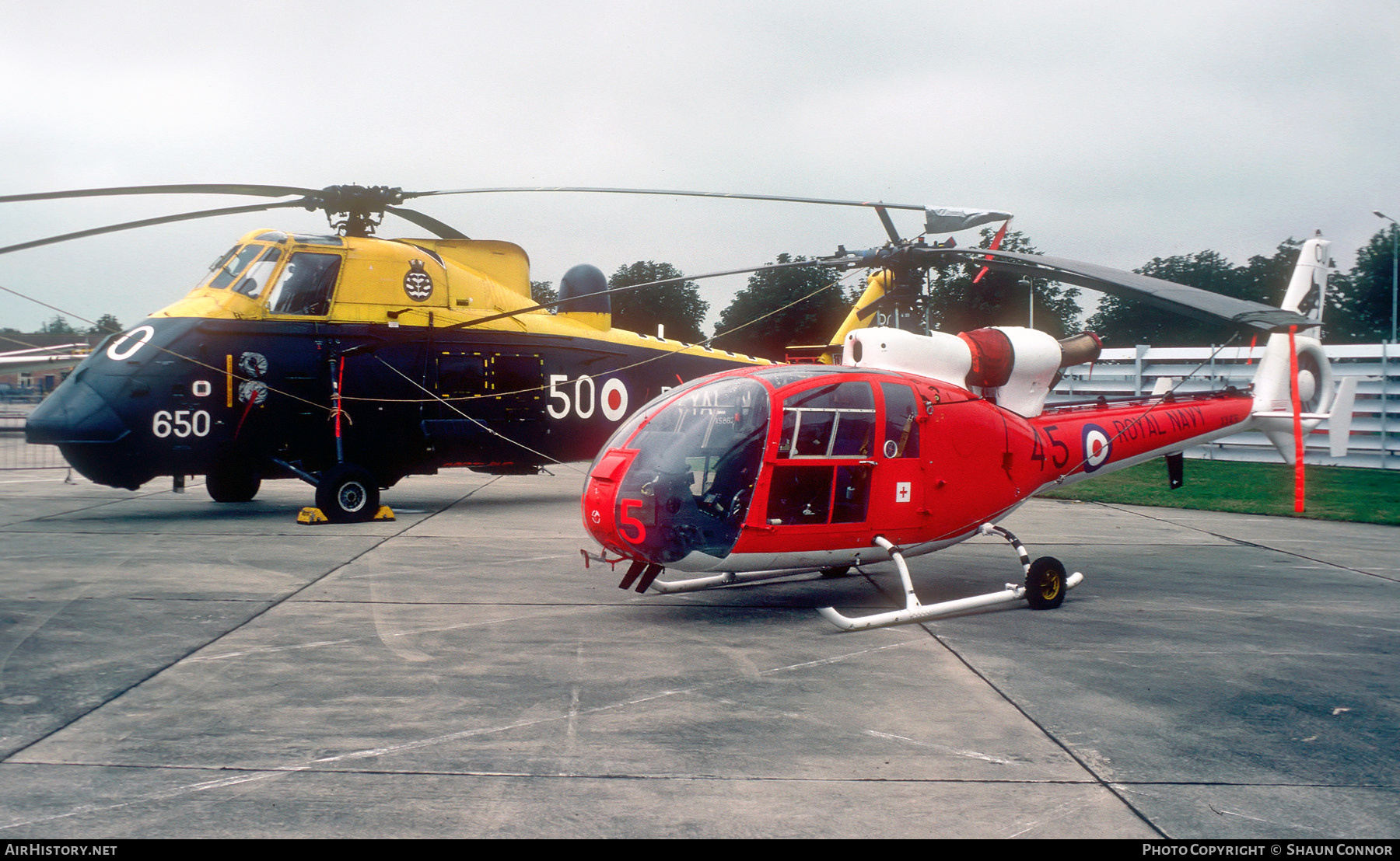 Aircraft Photo of XX431 | Aerospatiale SA-341C Gazelle HT2 | UK - Navy | AirHistory.net #613652