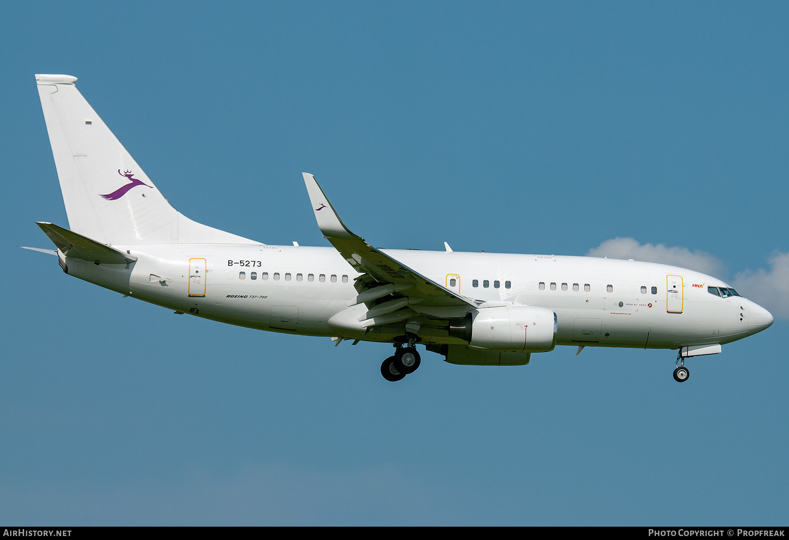 Aircraft Photo of B-5273 | Boeing 737-73W BBJ | Deer Jet | AirHistory.net #614695