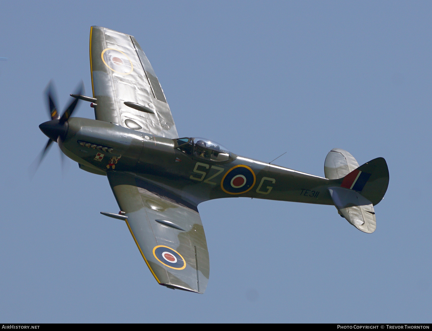 Aircraft Photo of TE311 | Supermarine 361 Spitfire LF16E | UK - Air Force | AirHistory.net #615181
