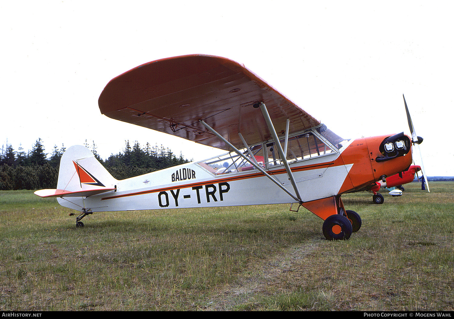Aircraft Photo of OY-TRP | Piper J-3C-65 Cub | AirHistory.net #615533