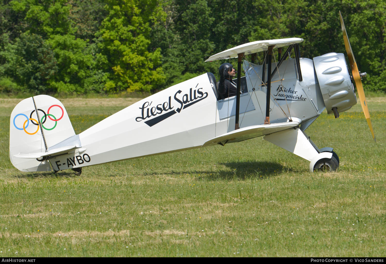 Aircraft Photo of F-AYBO | Bücker Bü 133C Jungmeister | AirHistory.net #617123