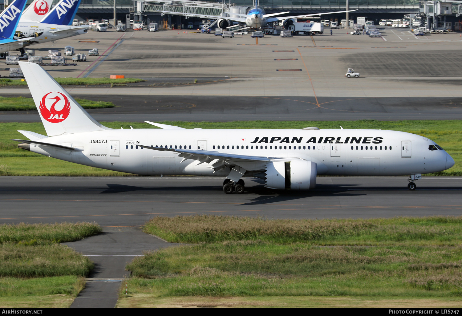 Aircraft Photo of JA847J | Boeing 787-8 Dreamliner | Japan Airlines - JAL | AirHistory.net #617730