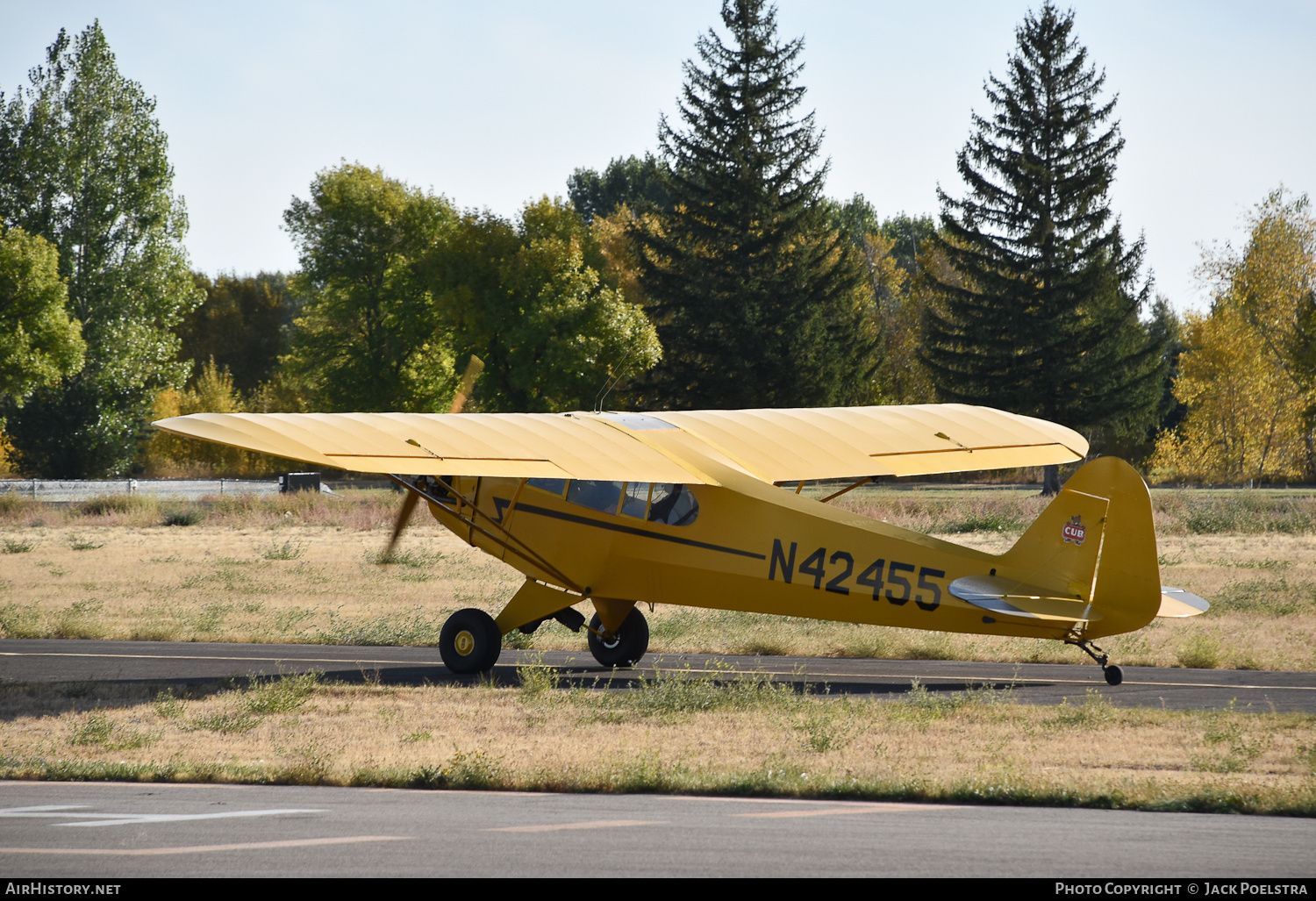 Aircraft Photo of N42455 | Piper J-3C-65 Cub | AirHistory.net #618272