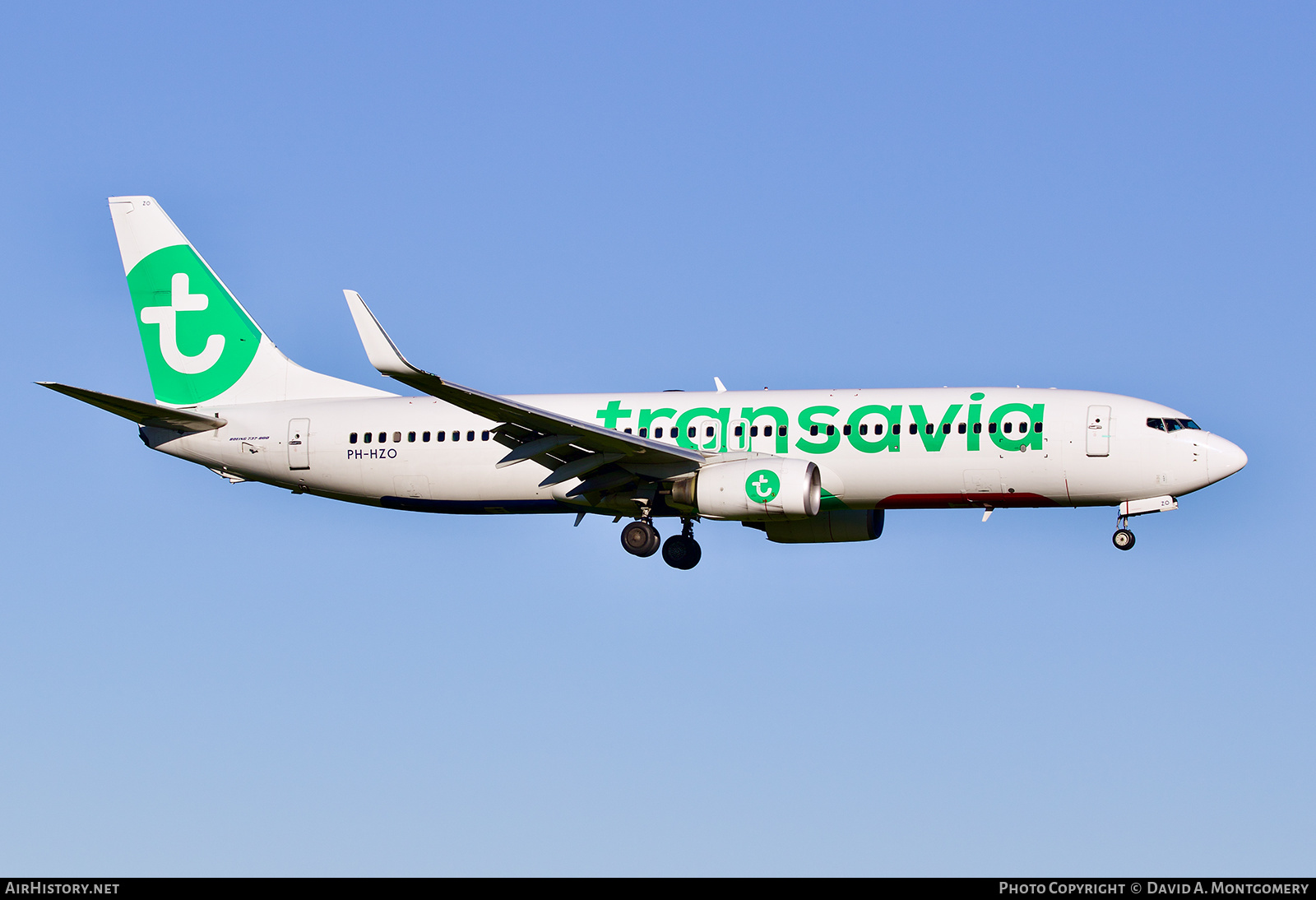 Aircraft Photo of PH-HZO | Boeing 737-8K2 | Transavia | AirHistory.net #619840