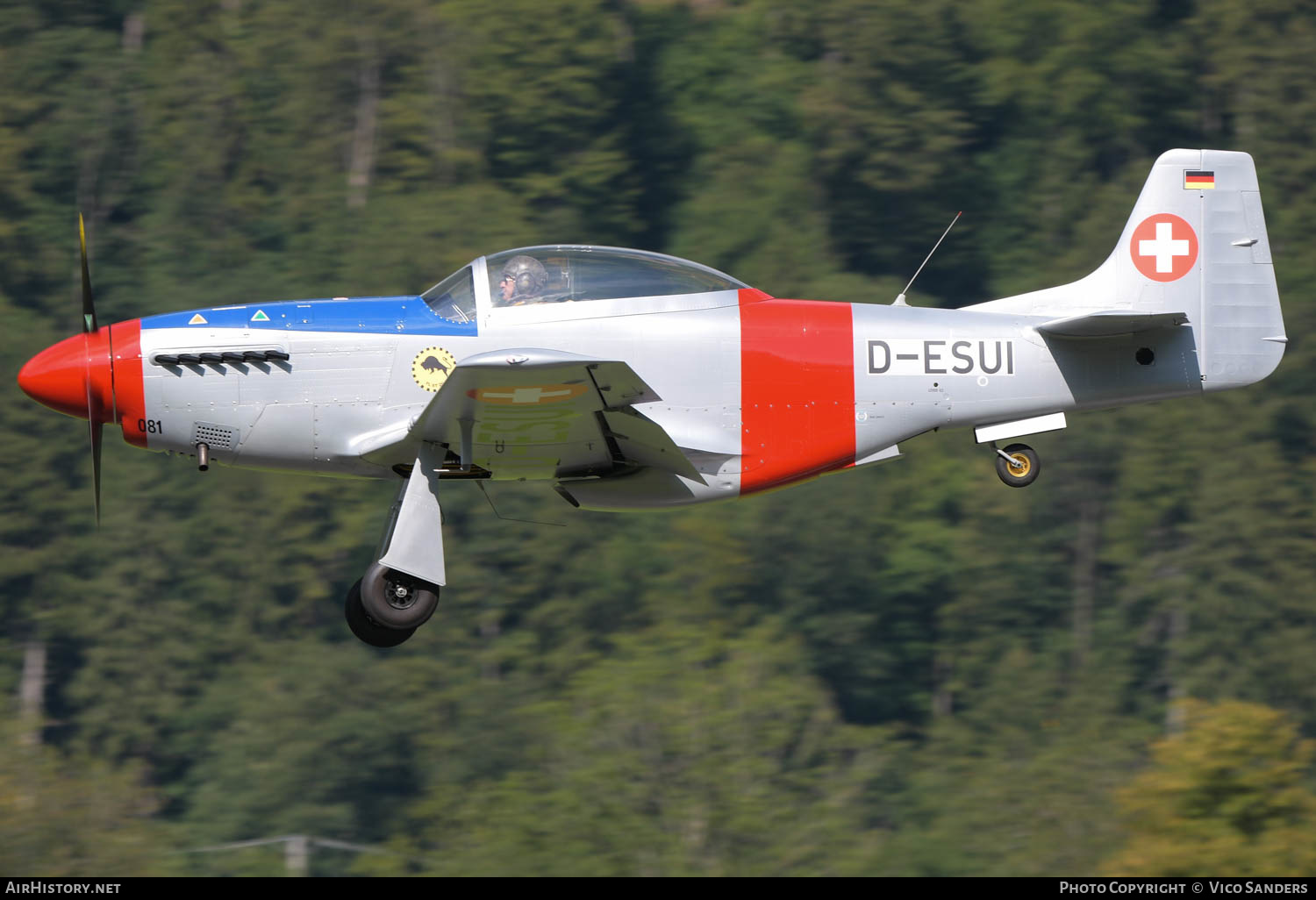 Aircraft Photo of D-ESUI | ScaleWings SW-51 Mustang | Switzerland - Air Force | AirHistory.net #620547
