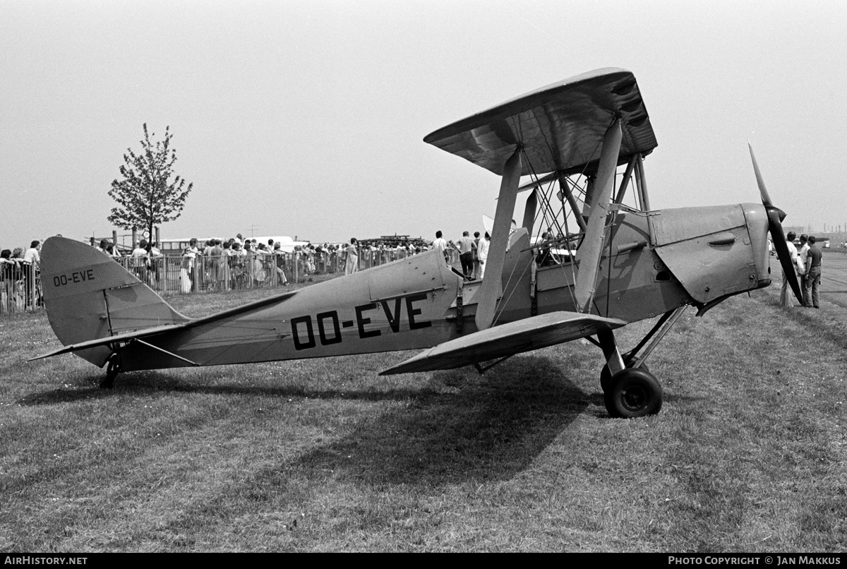 Aircraft Photo of OO-EVE | De Havilland D.H. 82A Tiger Moth | AirHistory.net #623291
