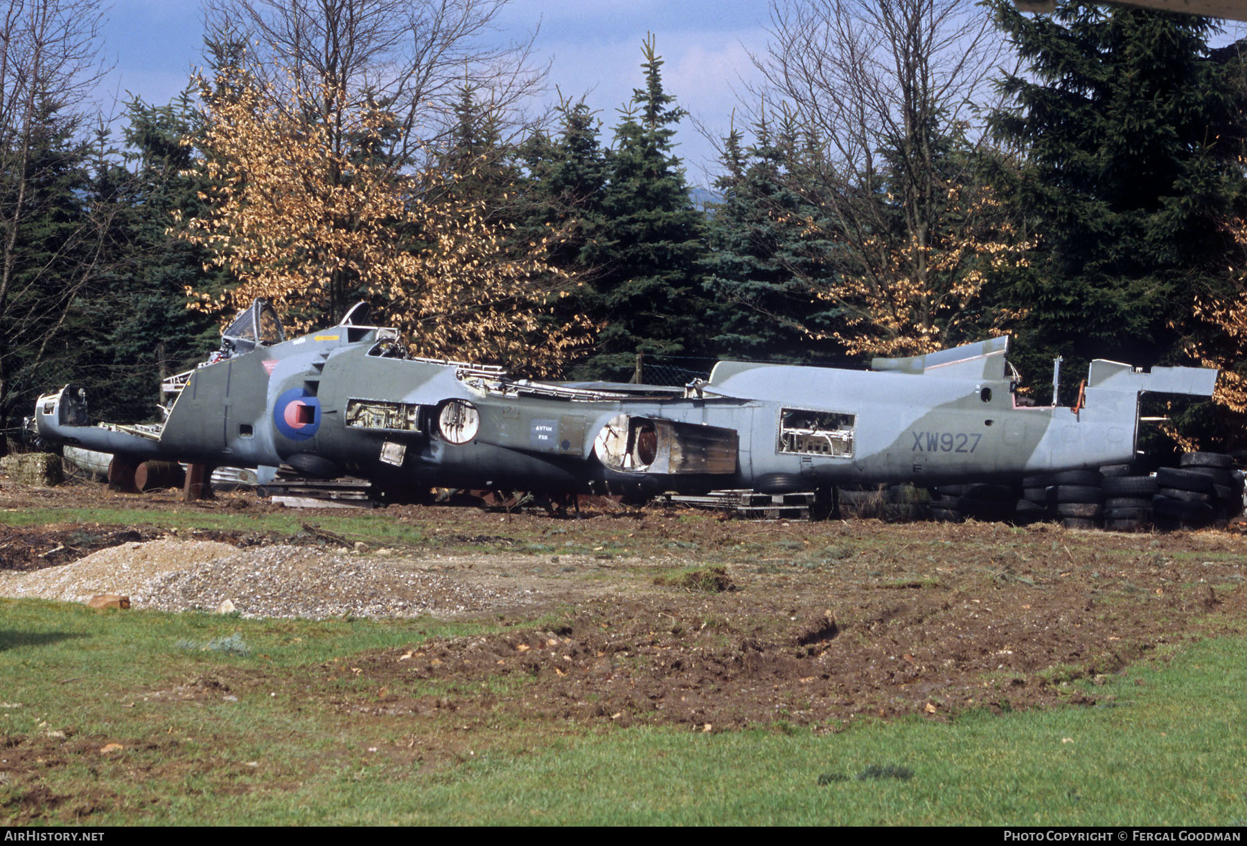 Aircraft Photo of XW927 | Hawker Siddeley Harrier T4 | UK - Air Force | AirHistory.net #624470