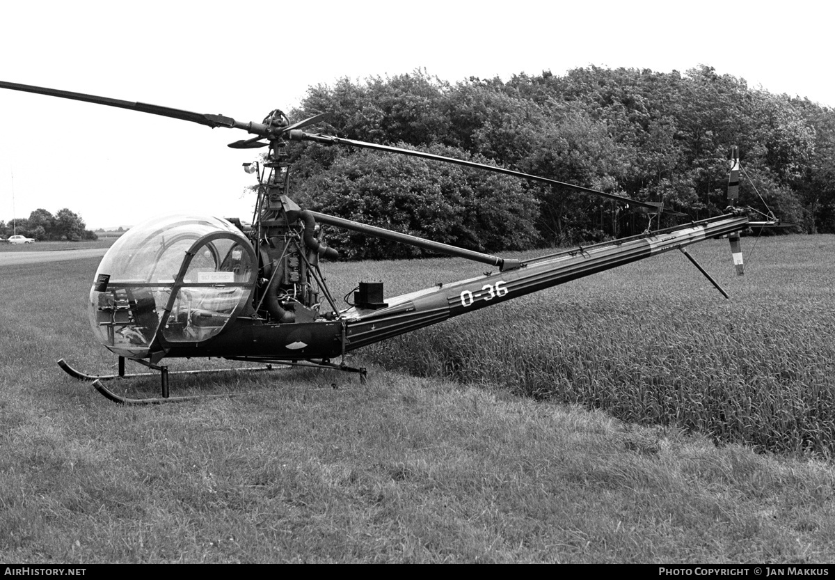 Aircraft Photo of O-36 | Hiller OH-23C Raven (UH-12C) | Netherlands - Air Force | AirHistory.net #625388