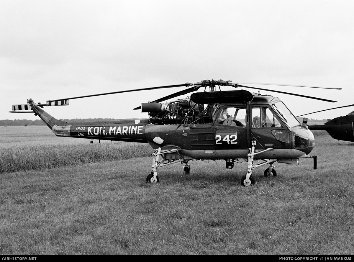 Aircraft Photo of 242 | Westland AH-12A Wasp (P-531-2) | Netherlands - Navy | AirHistory.net #625674