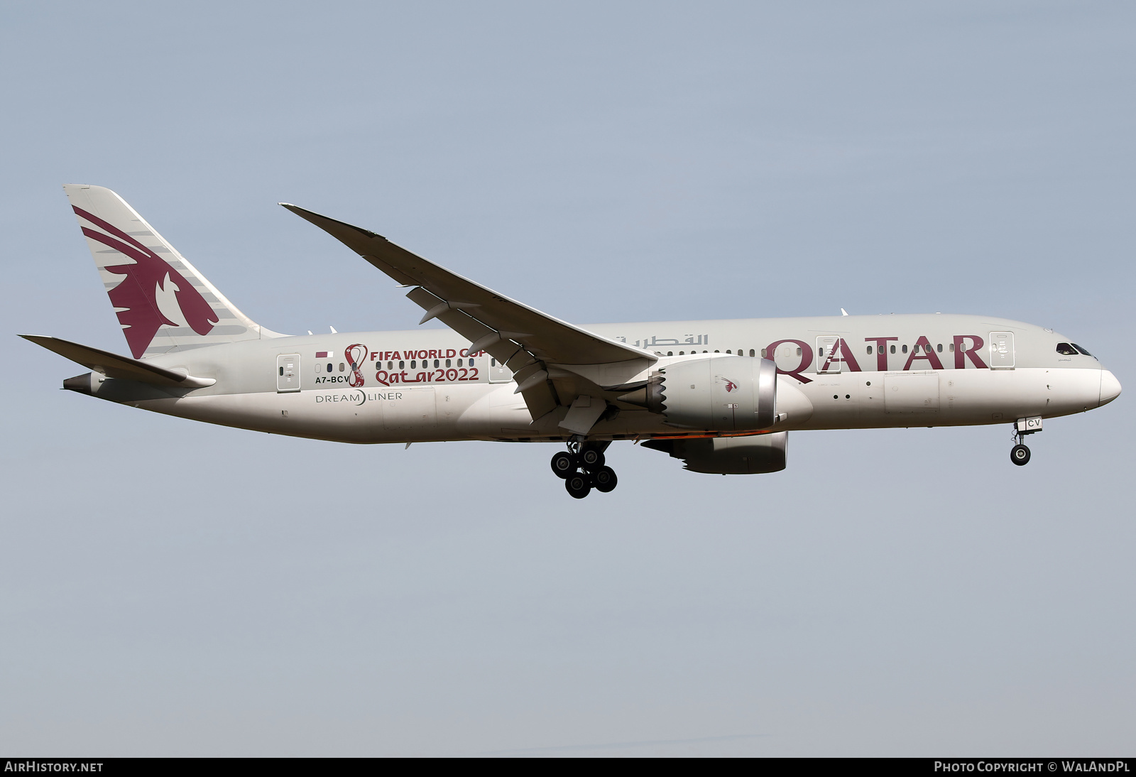 Aircraft Photo of A7-BCV | Boeing 787-8 Dreamliner | Qatar Airways | AirHistory.net #625795