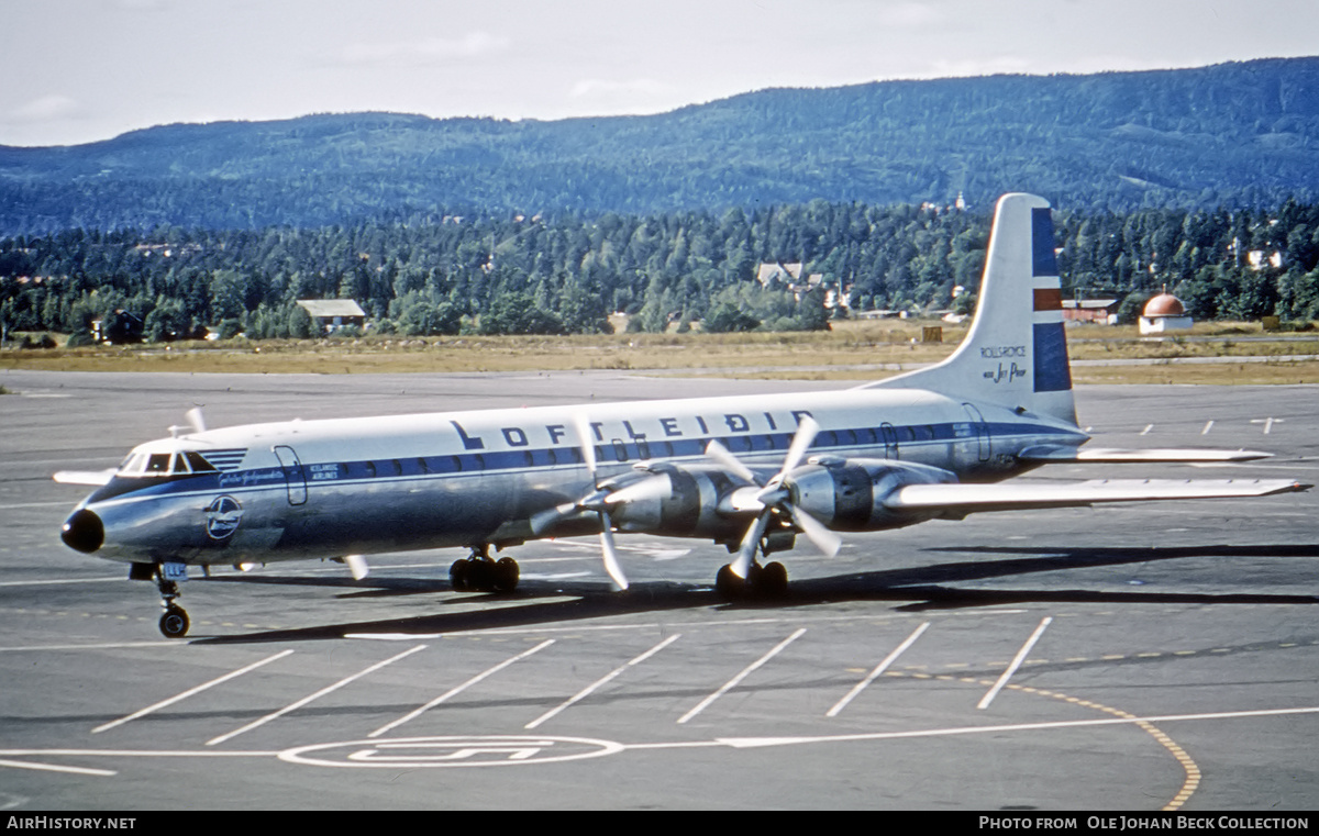 Aircraft Photo of TF-LLH | Canadair CL-44J | Loftleiðir - Icelandic Airlines | AirHistory.net #625974