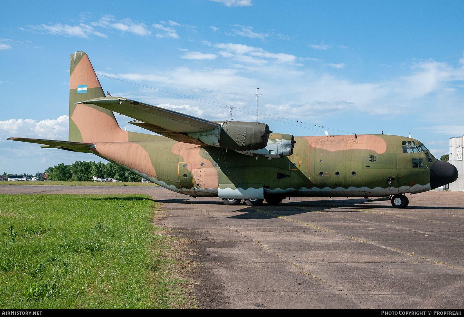 Aircraft Photo of TC-60 | Lockheed C-130BL Hercules (L-282) | Argentina - Air Force | AirHistory.net #627075