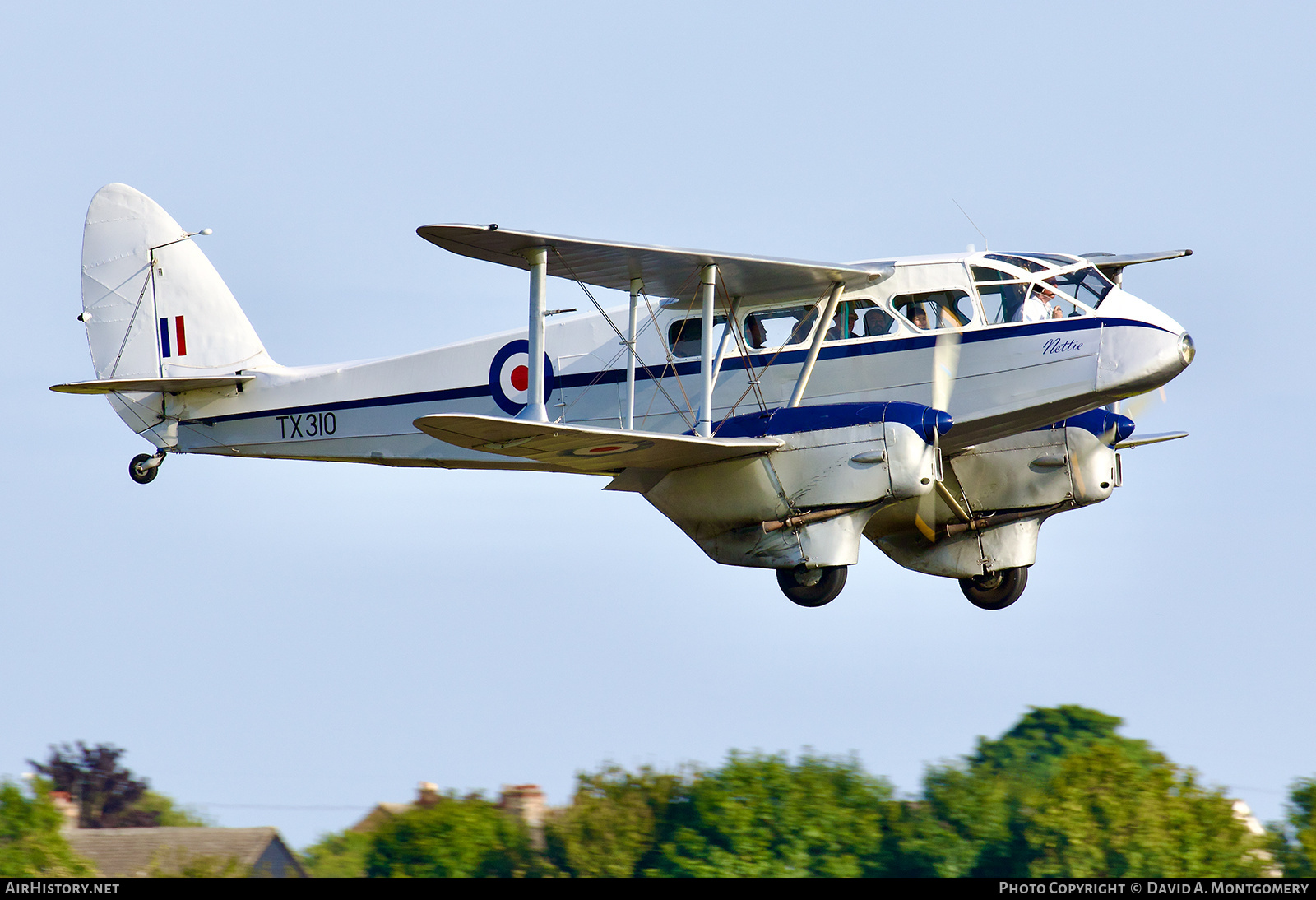 Aircraft Photo of G-AIDL / TX310 | De Havilland D.H. 89A Dragon Rapide | UK - Air Force | AirHistory.net #628074