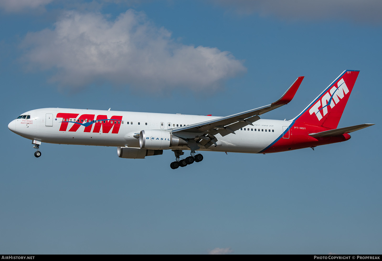 Aircraft Photo of PT-MSY | Boeing 767-316/ER | TAM Linhas Aéreas | AirHistory.net #628597