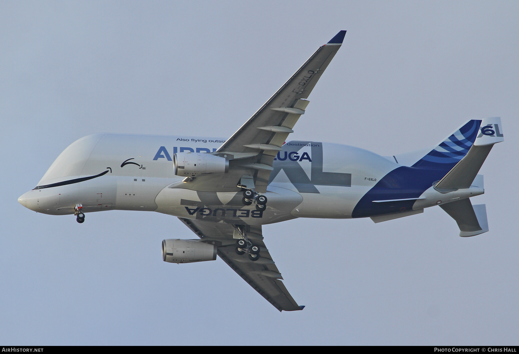 Aircraft Photo of F-GXLO | Airbus A330-743L Beluga XL | Airbus Transport International | AirHistory.net #631957