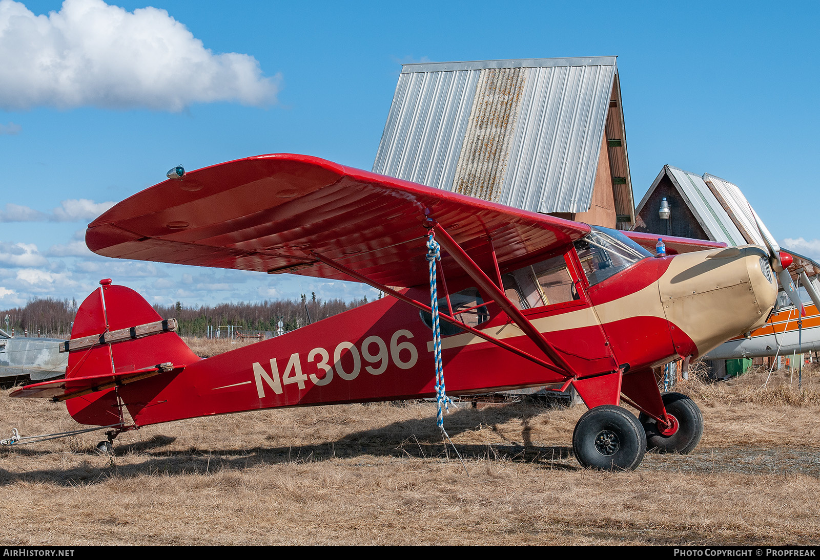 Aircraft Photo of N43096 | Taylorcraft BC-12D | AirHistory.net #631983