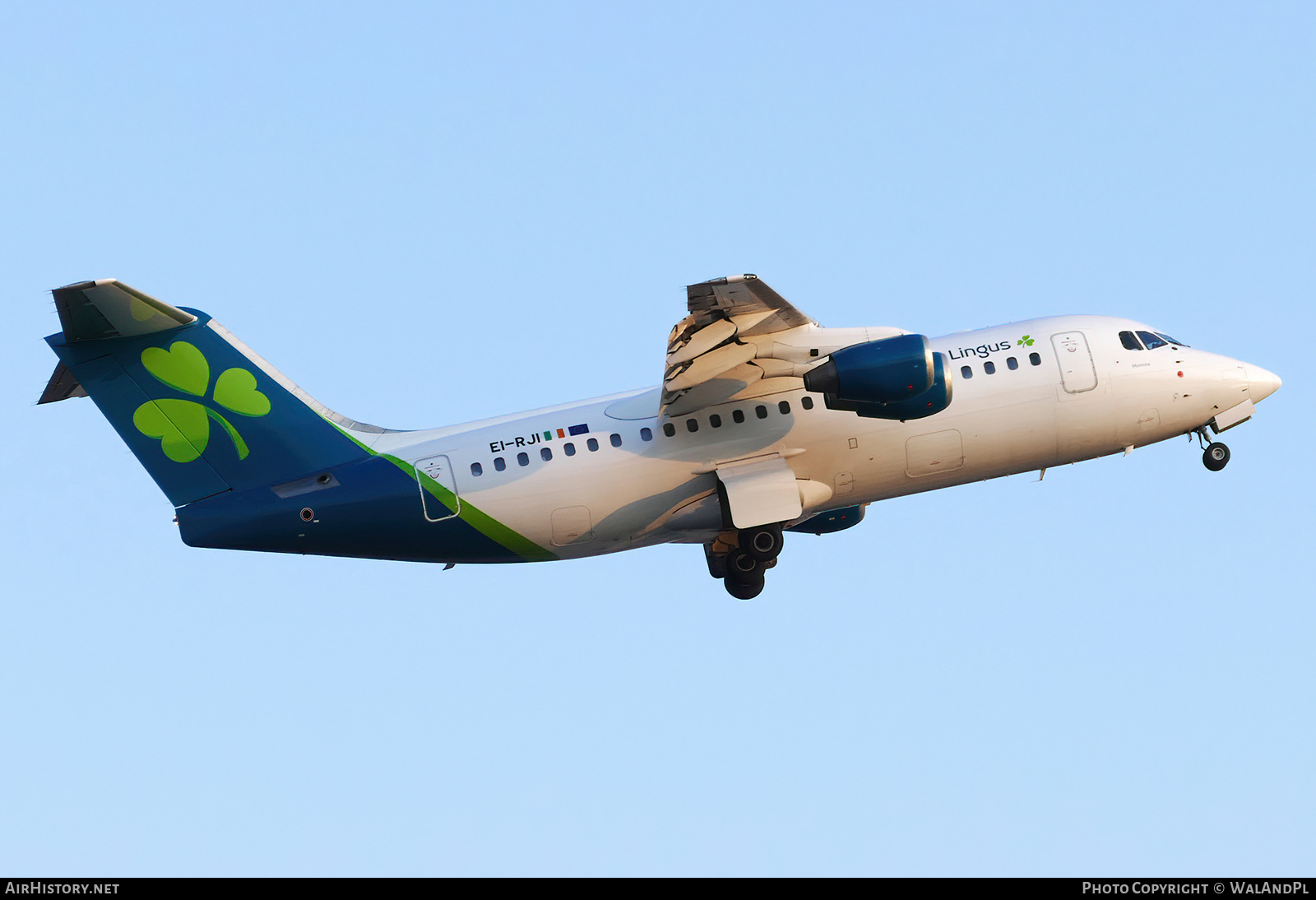 Aircraft Photo of EI-RJI | British Aerospace Avro 146-RJ85 | Aer Lingus | AirHistory.net #632323