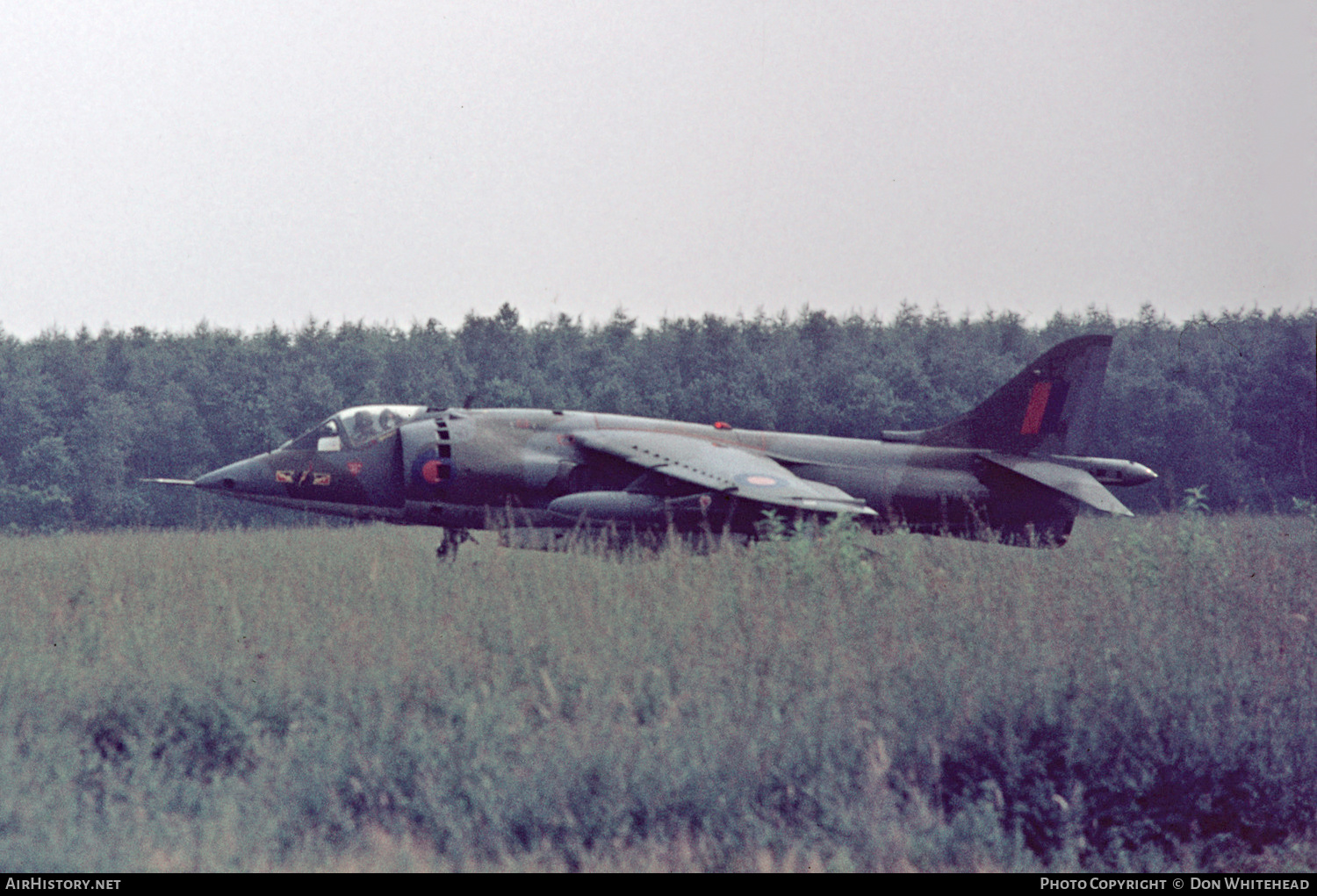 Aircraft Photo of XV786 | Hawker Siddeley Harrier GR1 | UK - Air Force | AirHistory.net #633551