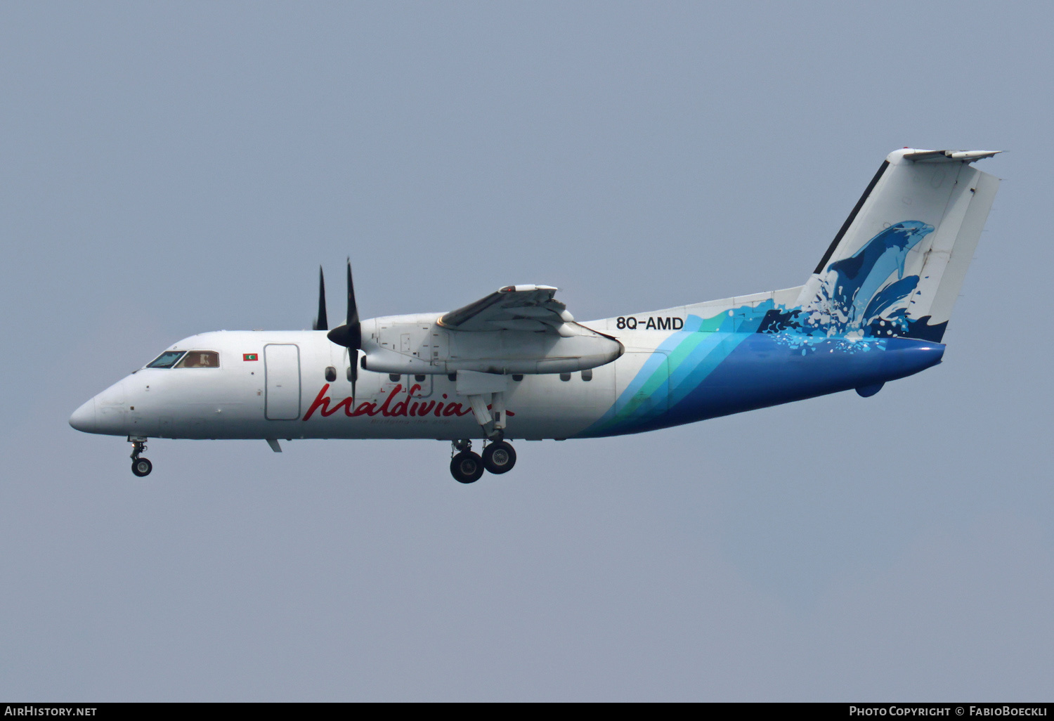 Aircraft Photo of 8Q-AMD | De Havilland Canada DHC-8-202 Dash 8 | Maldivian | AirHistory.net #633719