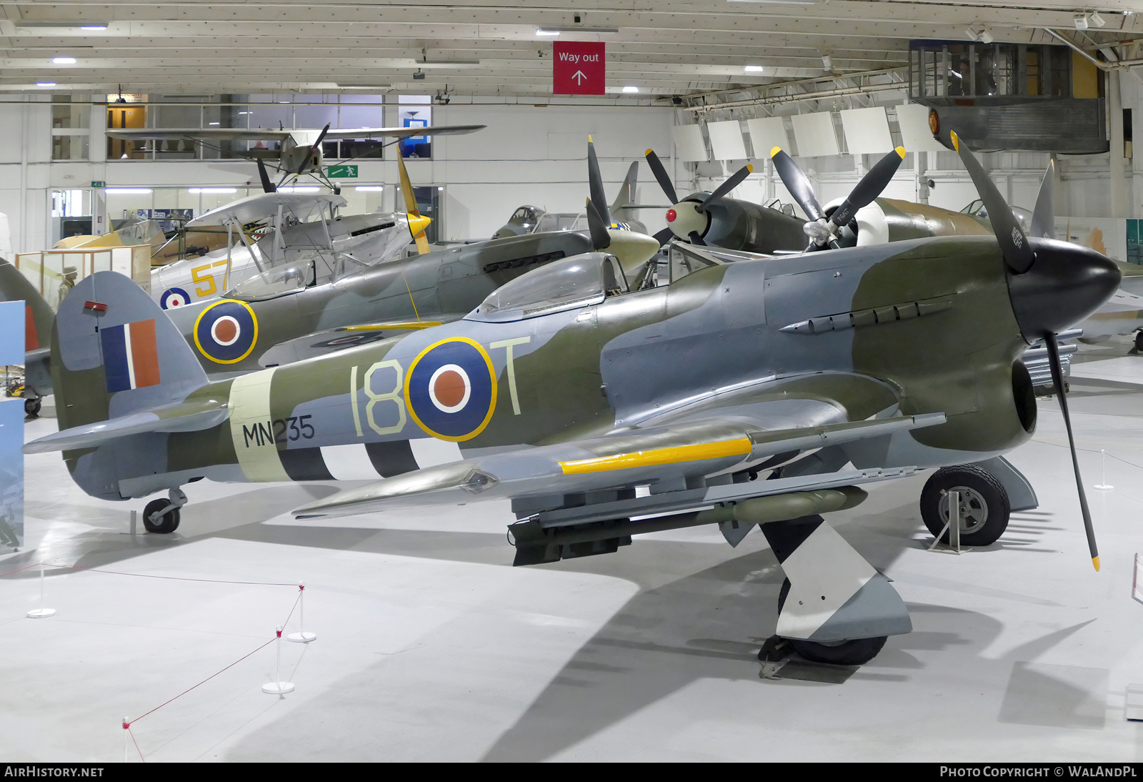 Aircraft Photo of MN235 | Hawker Typhoon Mk1B | UK - Air Force | AirHistory.net #634312