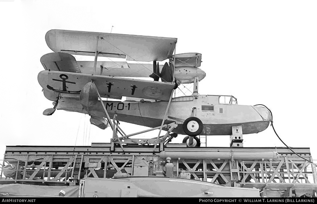 Aircraft Photo of Not known | Supermarine Walrus IV | Argentina - Navy | AirHistory.net #634328