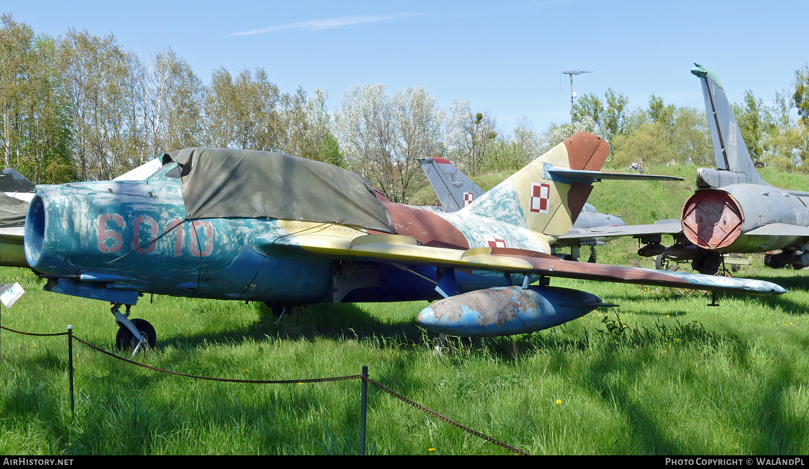 Aircraft Photo of 6010 | PZL-Mielec SBLim-2M (MiG-15UTI) | Poland - Air Force | AirHistory.net #635054