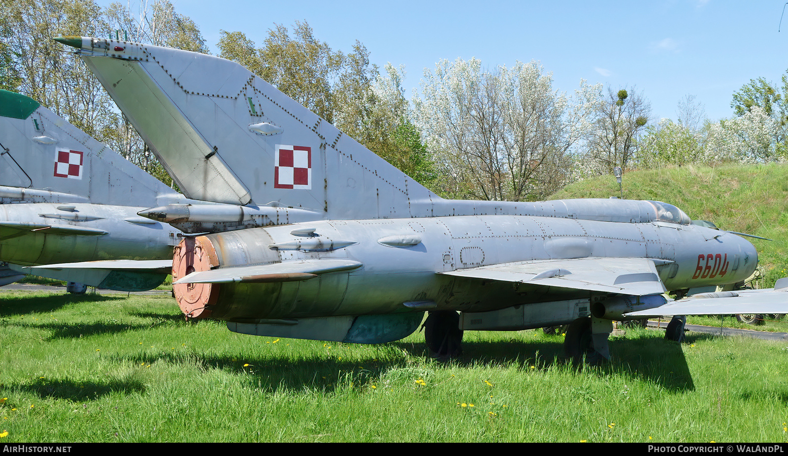 Aircraft Photo of 6604 | Mikoyan-Gurevich MiG-21PFM | Poland - Air Force | AirHistory.net #635063