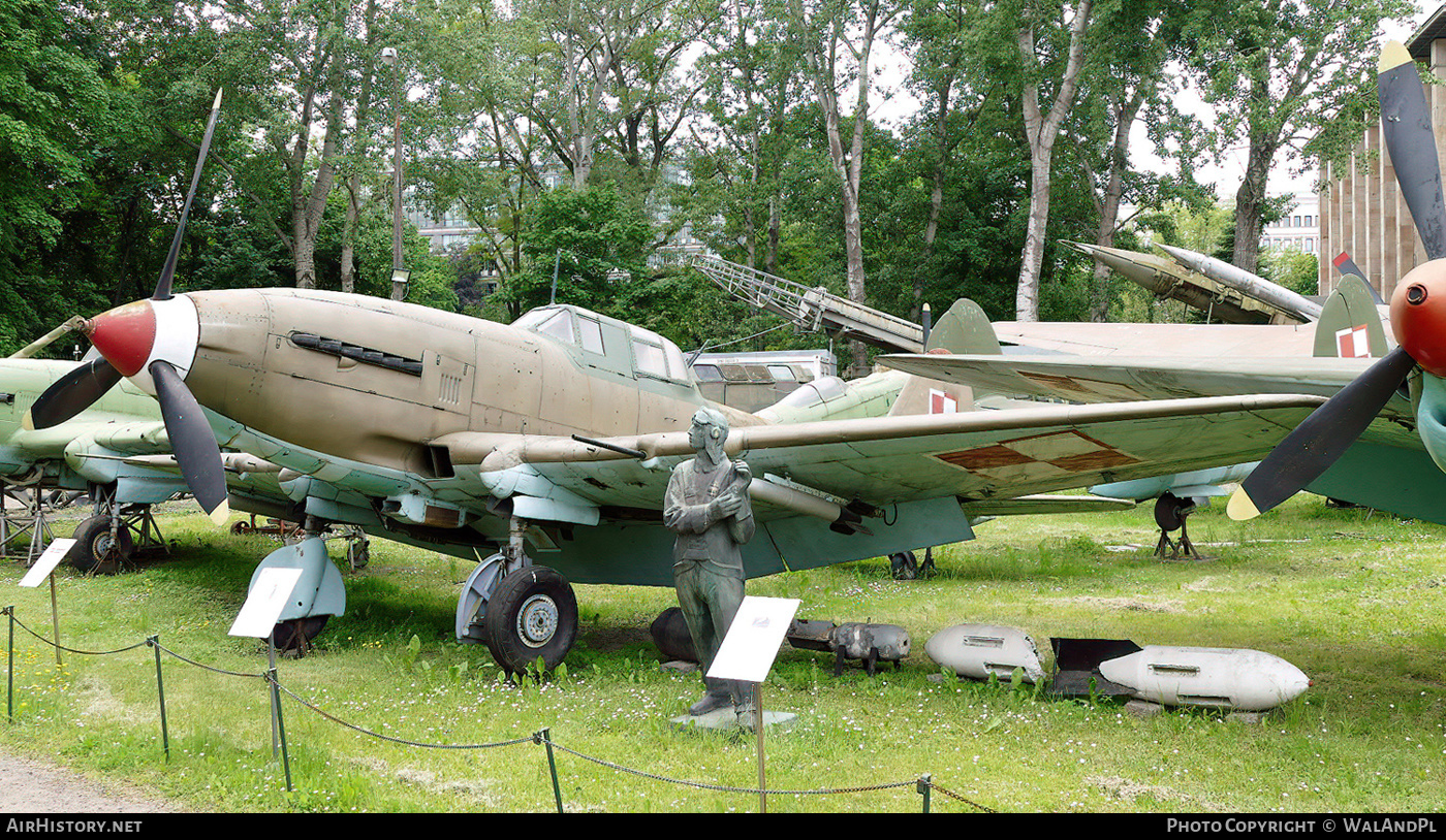 Aircraft Photo of 011 | Ilyushin B-33 | Poland - Air Force | AirHistory.net #635692