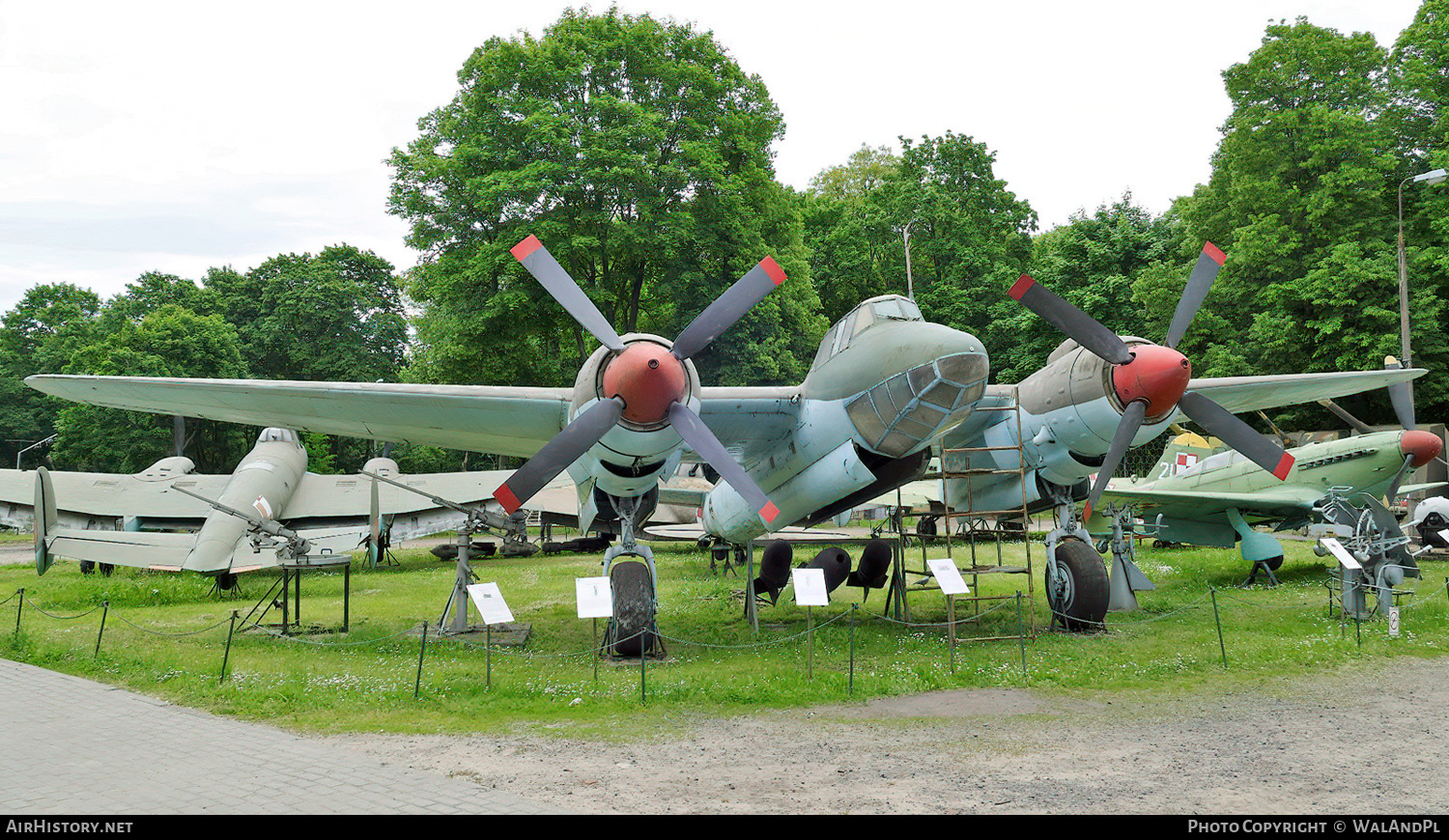 Aircraft Photo of 8 | Tupolev Tu-2S | Poland - Air Force | AirHistory.net #635793