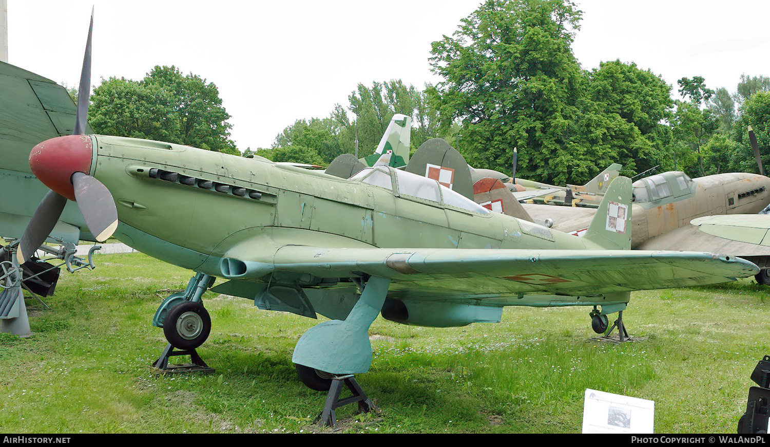 Aircraft Photo of 23 | Yakovlev Yak-9P | Poland - Air Force | AirHistory.net #635853