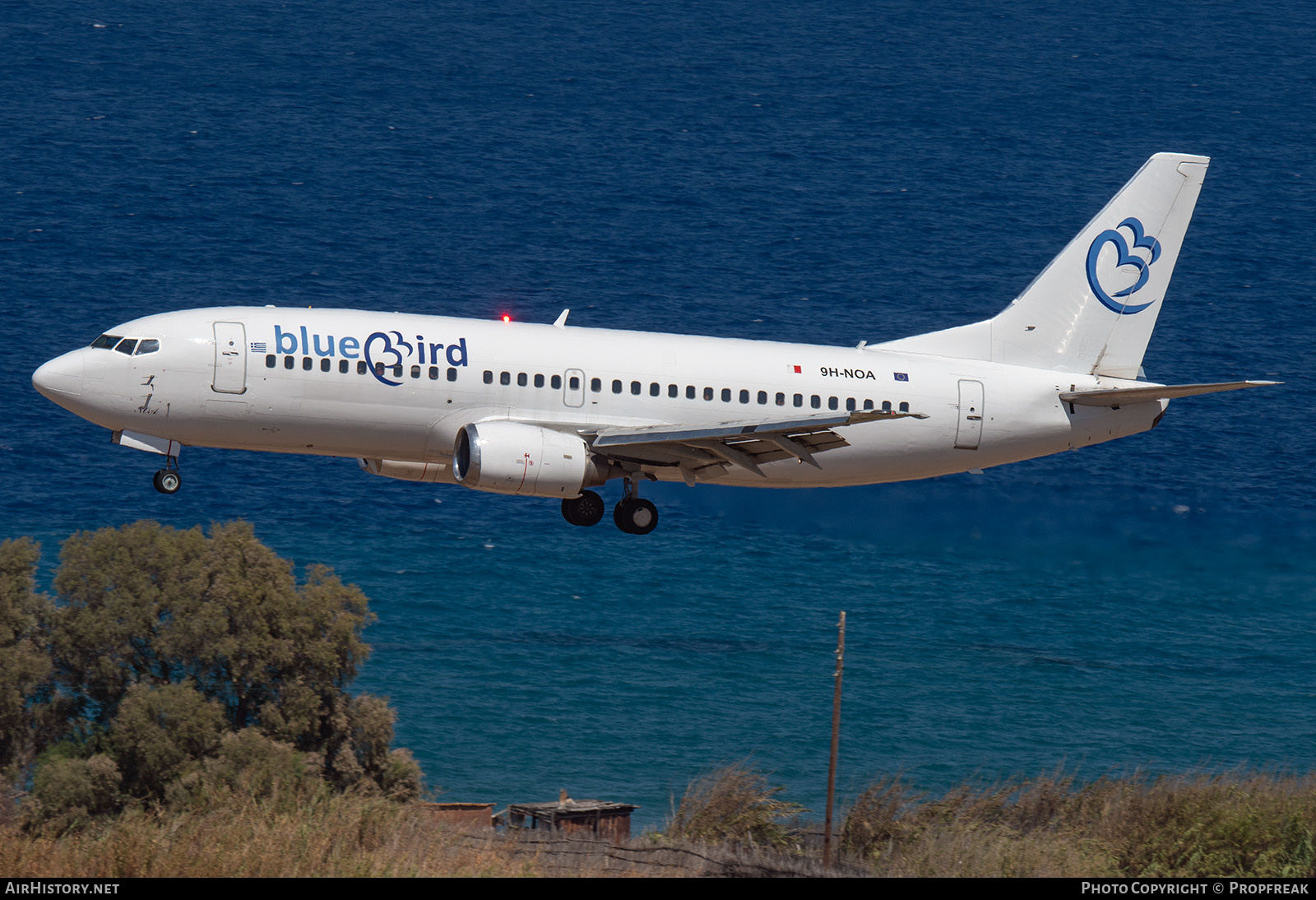 Aircraft Photo of 9H-NOA | Boeing 737-33A | BlueBird Airways | AirHistory.net #636453