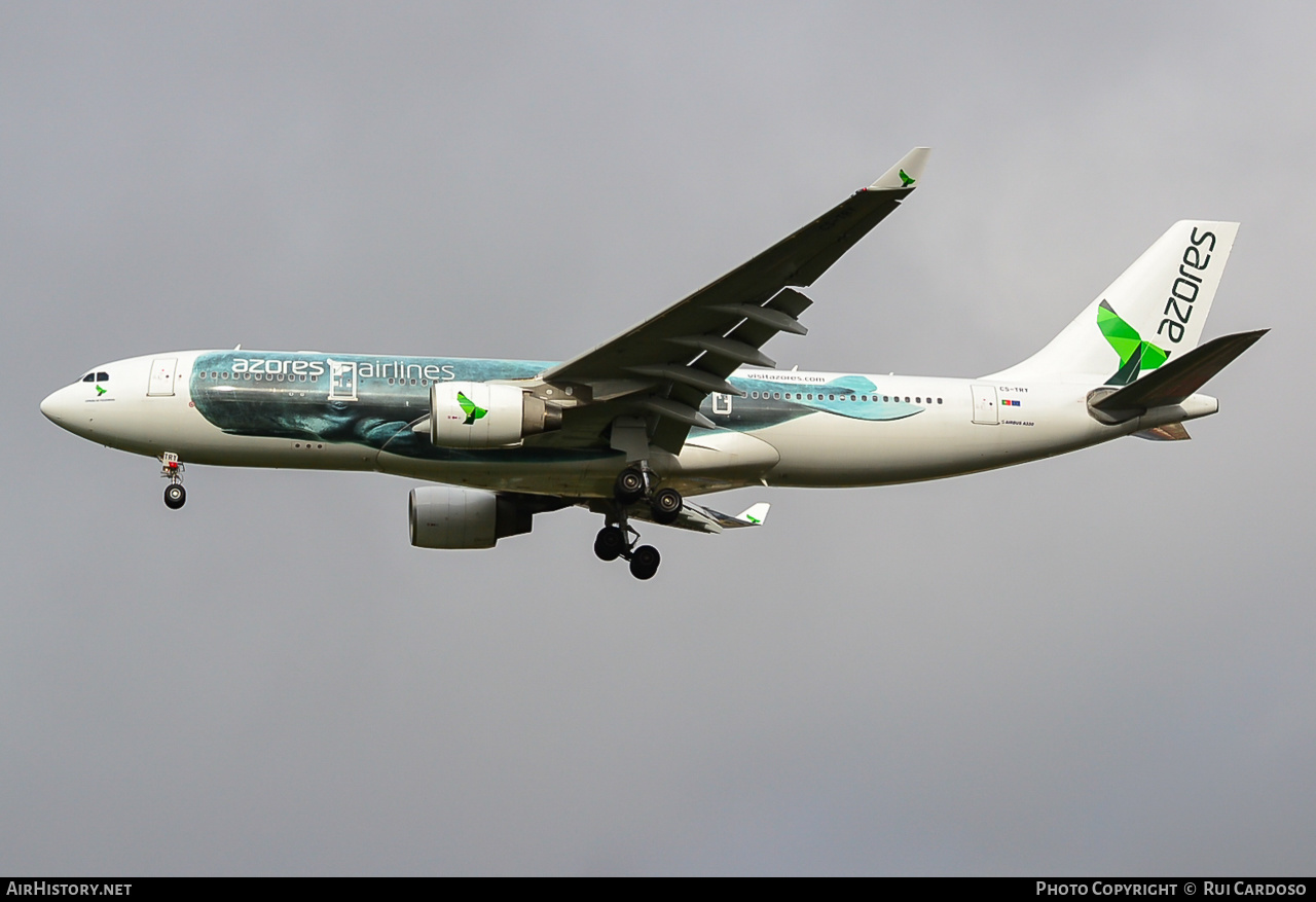Aircraft Photo of CS-TRY | Airbus A330-223 | Azores Airlines | AirHistory.net #636763